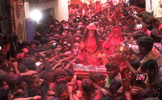 kashi.jpg