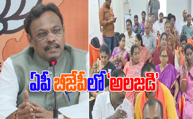 bjp3.jpg