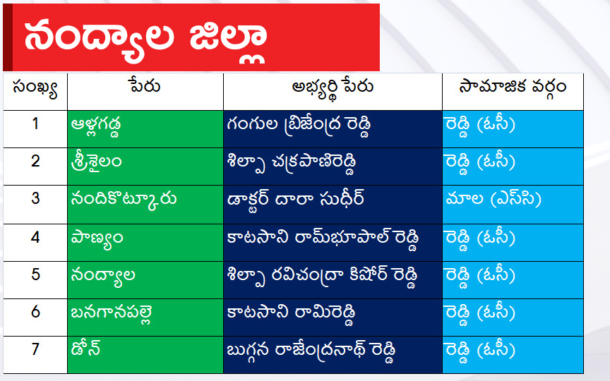 nandyala.jpg 24