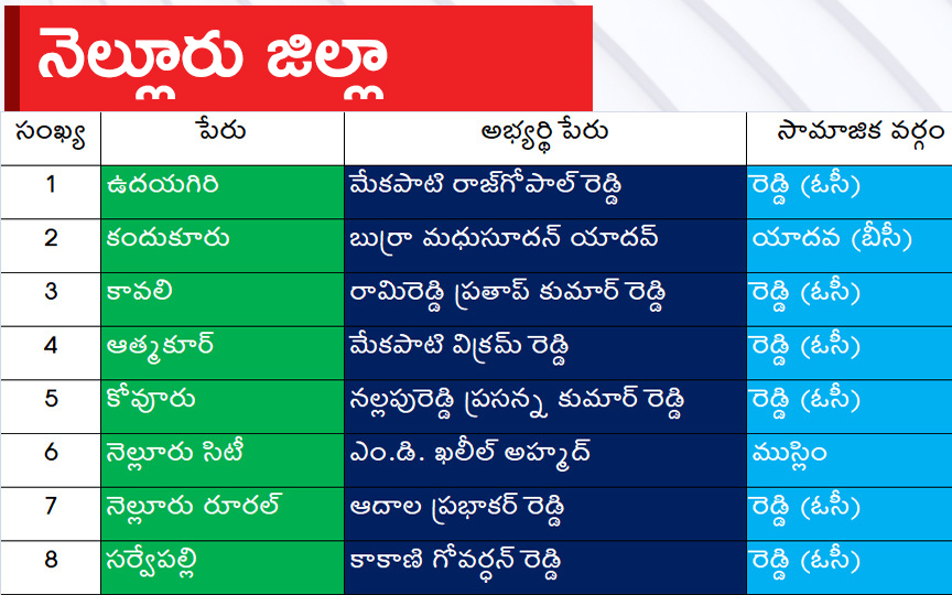 nellore.jpg 19