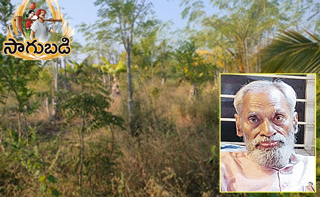 Palekar_20222.jpg