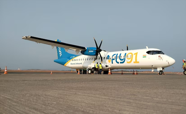 fly01.jpg
