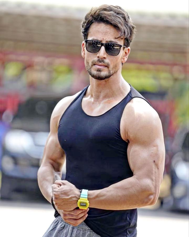 11-Baaghi4.jpg 12