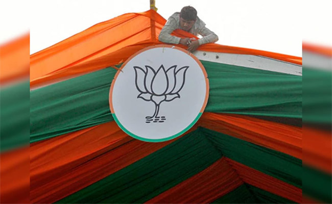 bjp_0.jpg
