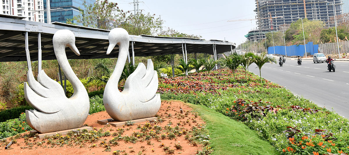 Special_20And_20Different_20Pictures_20In_20Hyderabad-27.jpg 26