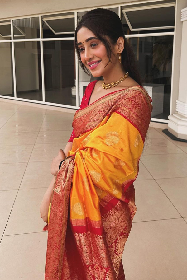 shivangijoshi.jpg 21