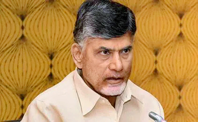 Ap-Elections-2024.jpg