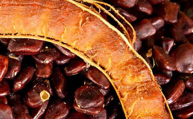 Tamarindseeds.jpg