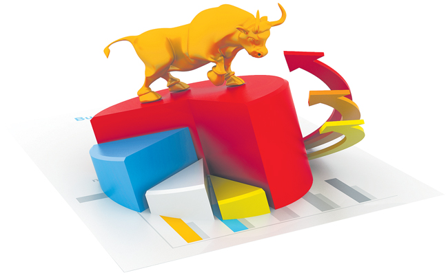 BULL-BU-1039612756.jpg