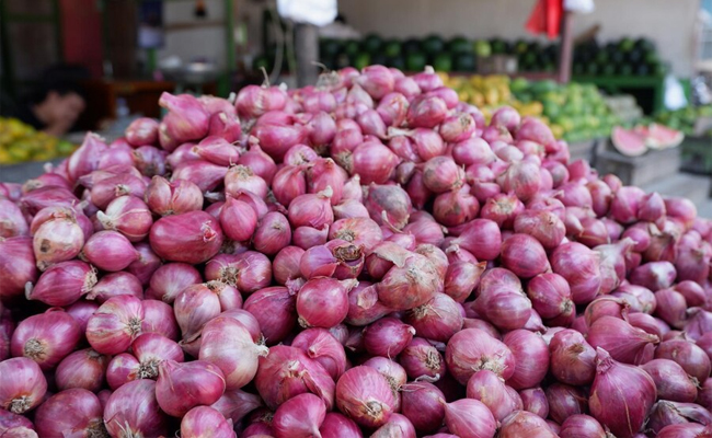 onion-export.jpg