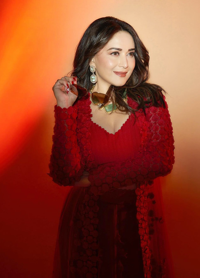 Madhuri-Dixit-13.jpg 14