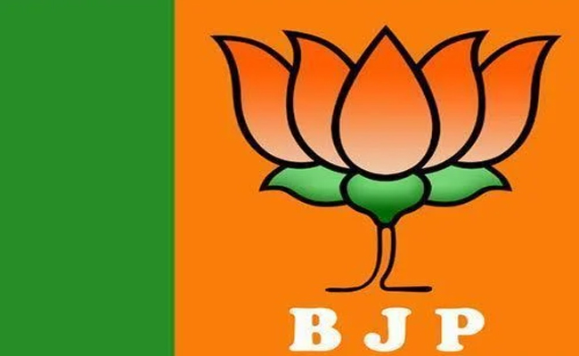 bjp_0.jpg