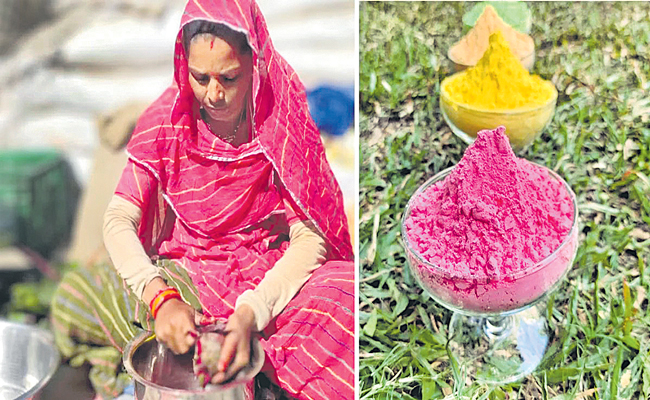 holi.jpg