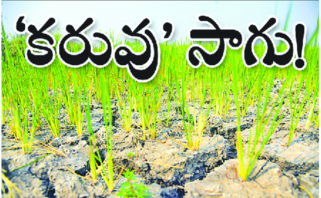 karuvu.jpg