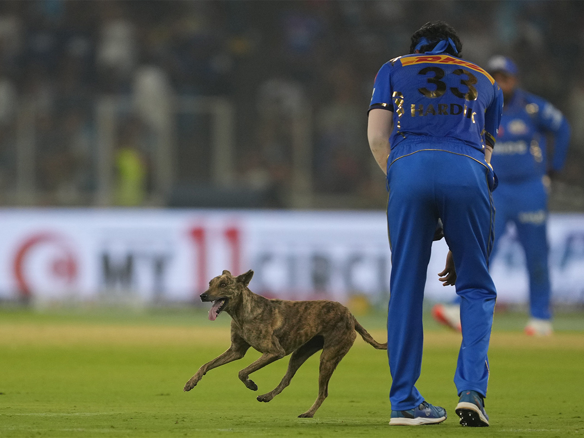 024_20T20_20cricket_20match_20between_20Mumbai_20Indians_20and_20Gujarat_20Titans_20at_20Narendra_20Modi_20Stadium-18.jpg 18