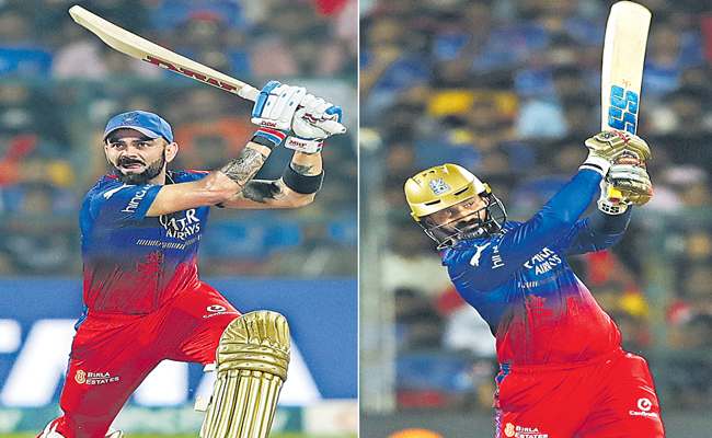 IPL.jpg