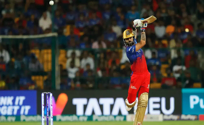 kohli3.gif