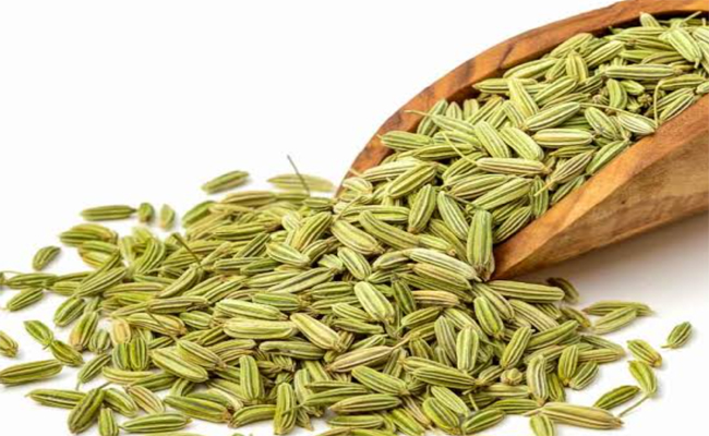 fennel.jpg