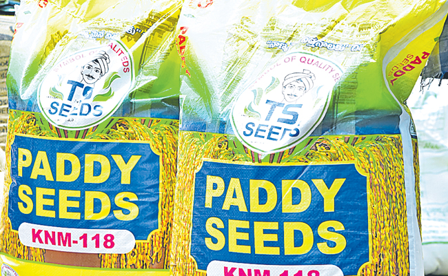 seeds.jpg