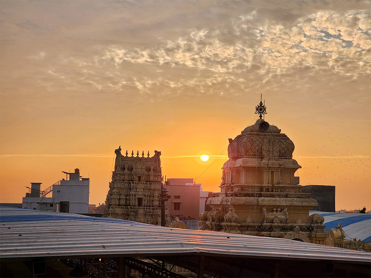 Dharmapuri_20Sri_20Lakshmi_20Narasimha_20Swamy_20Brahmotsavam-15.jpg 14