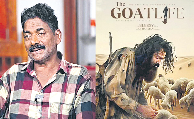 GOAT-LIF.jpg