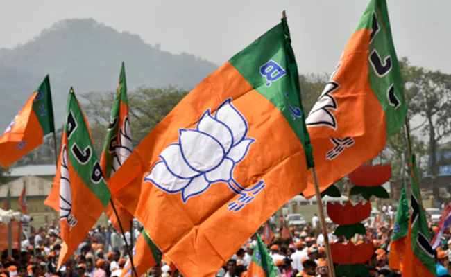 bjp_0.jpg