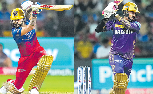 ipl.jpg