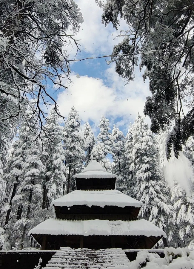 Hidimba-Devi-Temple-6.jpg 7