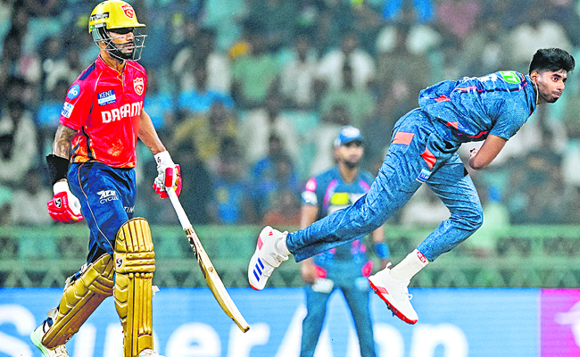 ipl.jpg