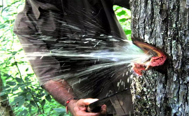 water.jpg
