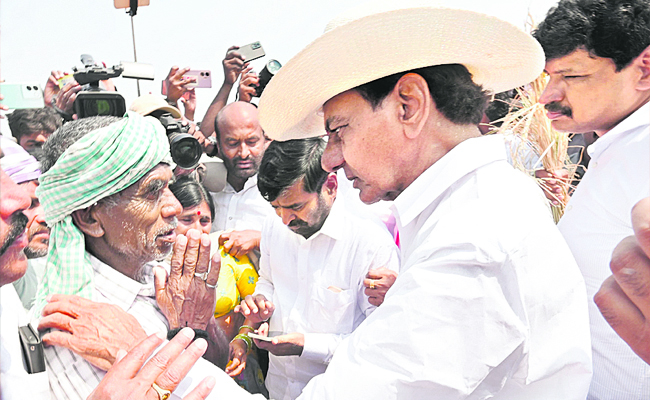 kcr.jpg