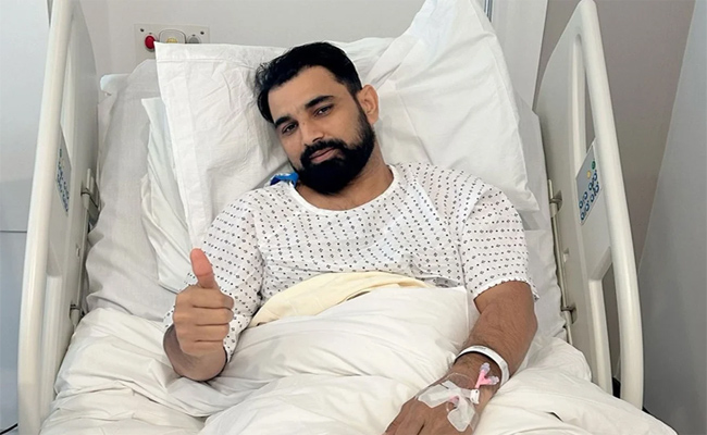 shami.jpg