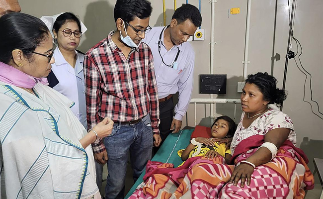 mamatha-benerjee.jpg