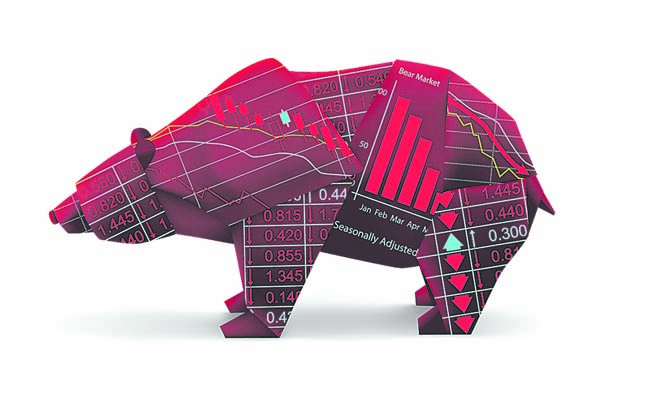 BEAR.jpg
