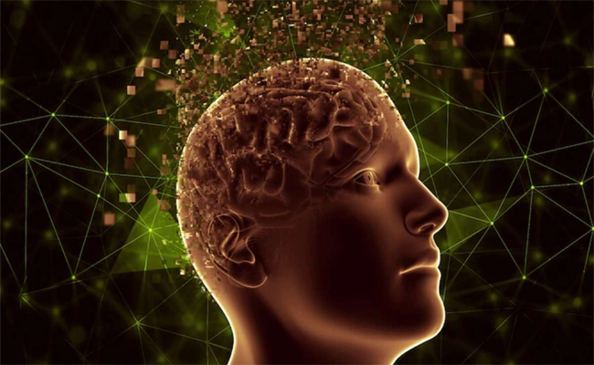 brain1.jpg