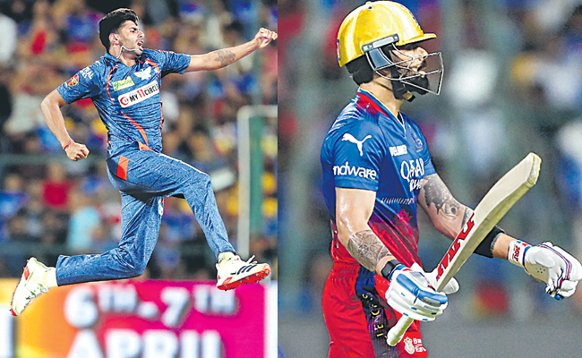 ipl.jpg