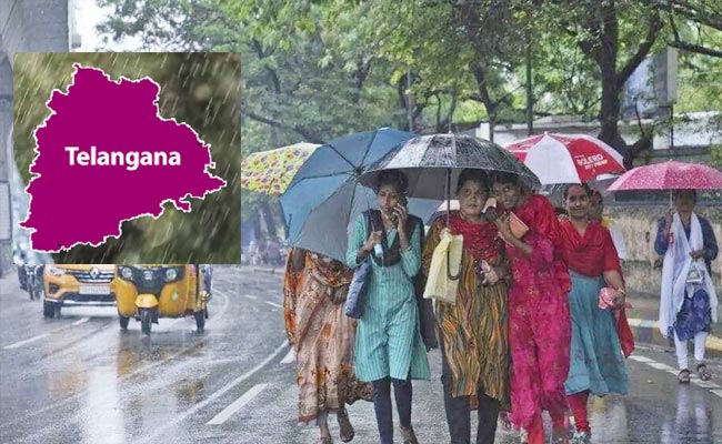 TS-Rains.jpg