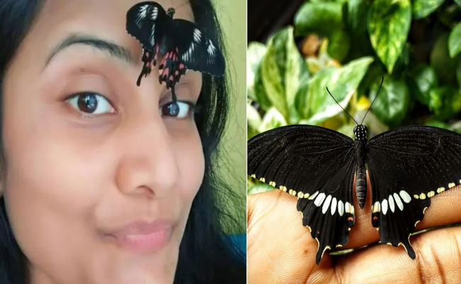 priyanka-singh.jpg