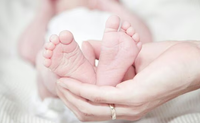 Birth-Report.jpg