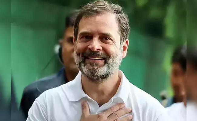 Rahul-Gandhi-troll.jpg