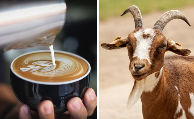 coffee.jpg