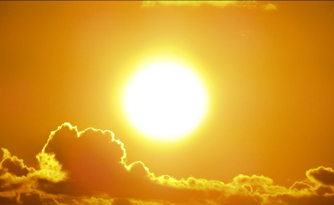 summer.jpg