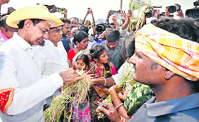 kcr11.jpg