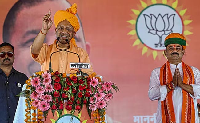 yogi.jpg