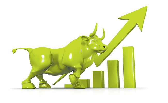 BULL.jpg