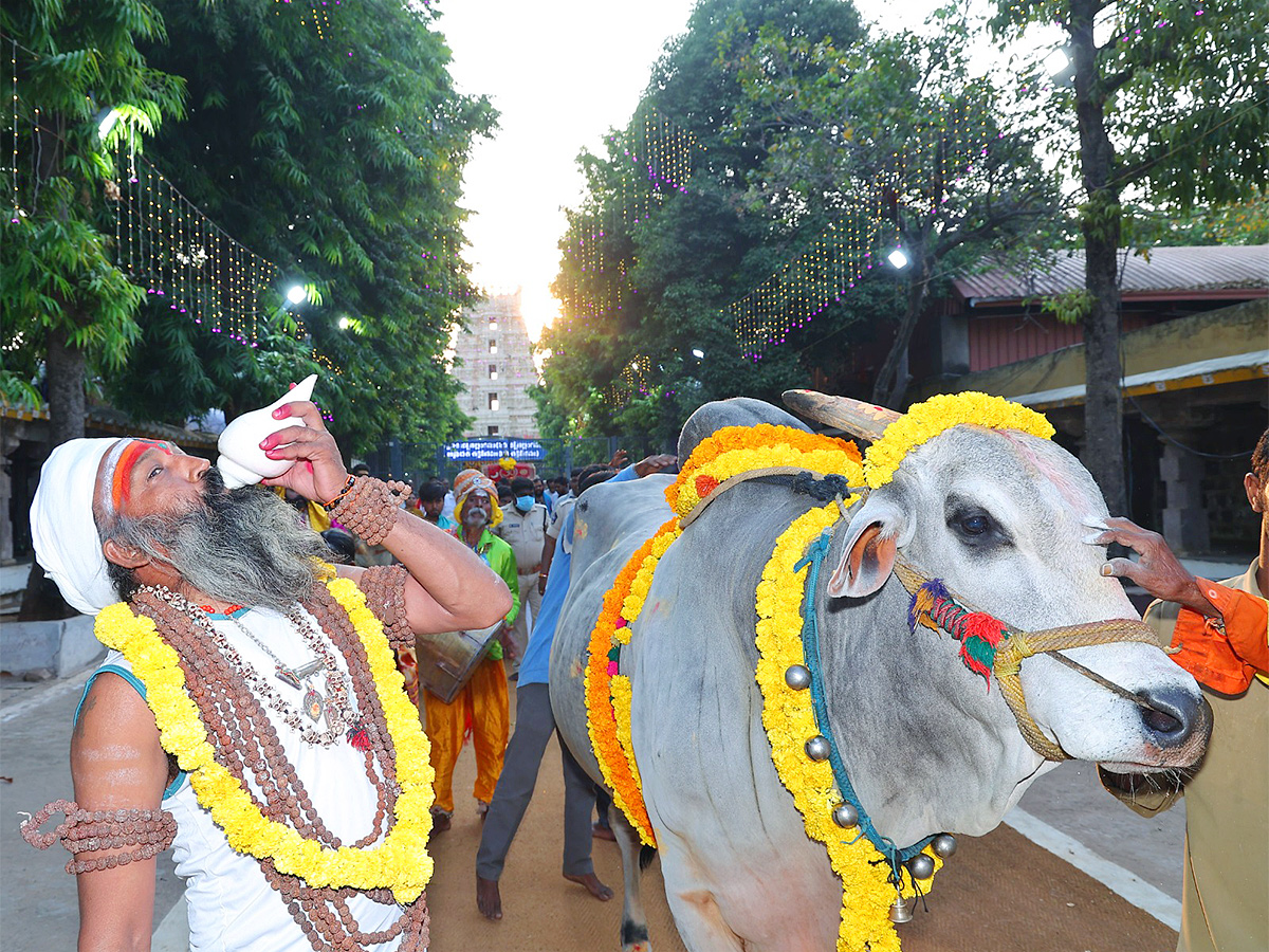 Ugadi_202024_20Celebration_20at_20srisailam_20temple_20Photos-24.jpg 20