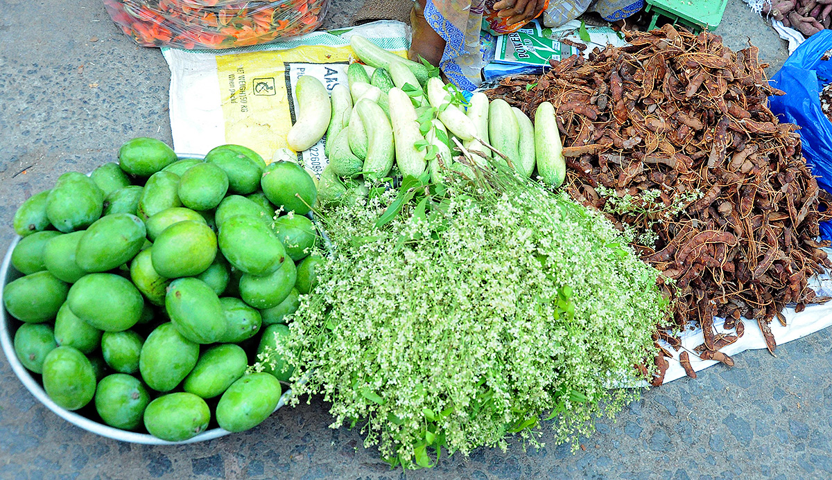 ugadi_202024_20celebrations_20photos-12.jpg 12