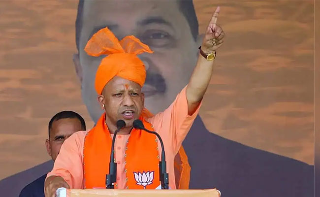 yogi.jpg