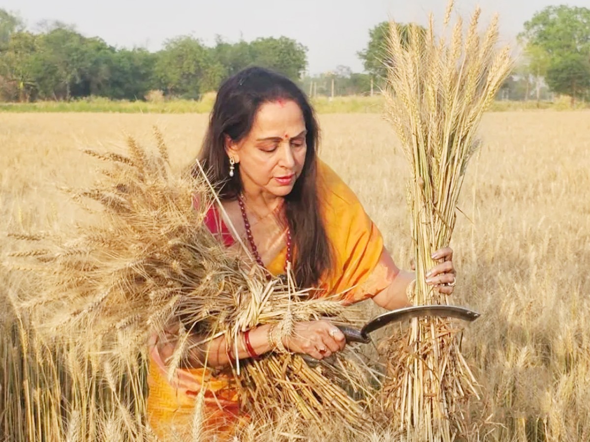 Hema-Malini-1.jpg 4