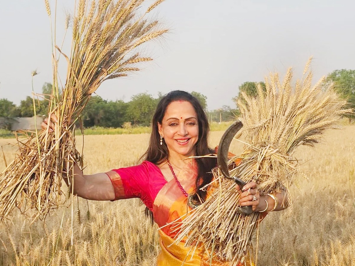 Hema-Malini.jpg 5